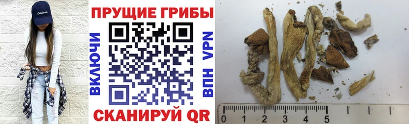 Галлюциногенные грибы мицелий  Верхний Тагил 